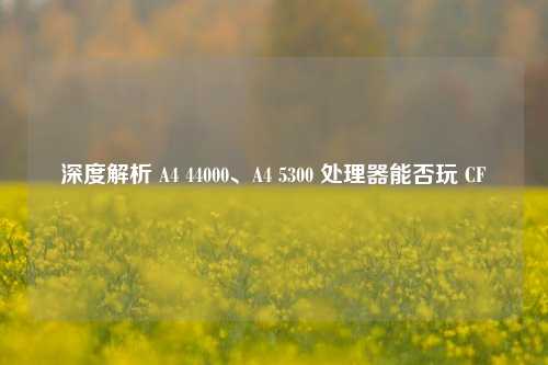 深度解析 A4 44000、A4 5300 处理器能否玩 CF