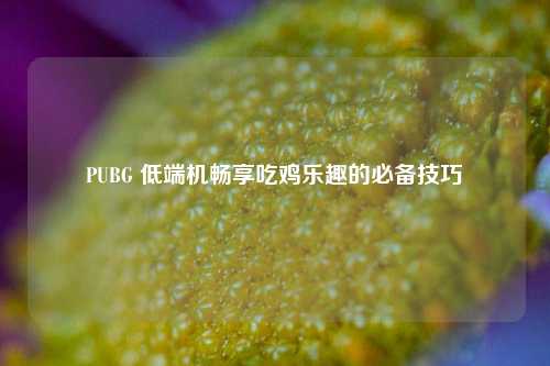 PUBG 低端机畅享吃鸡乐趣的必备技巧