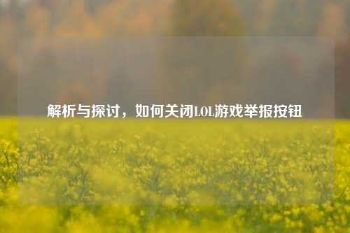 解析与探讨，如何关闭LOL游戏举报按钮