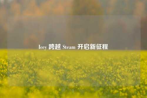 Icey 跨越 Steam 开启新征程