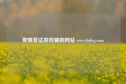 警惕非法游戏辅助网站 www.dnfwg.com