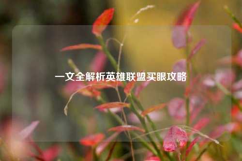 一文全解析英雄联盟买眼攻略