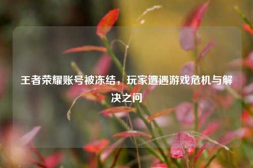 王者荣耀账号被冻结,玩家遭遇游戏危机与解决之问