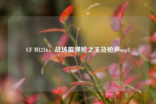 CF M1216，战场霰弹枪之王及枪声mp3