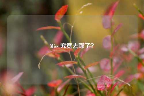 Miss 究竟去哪了？