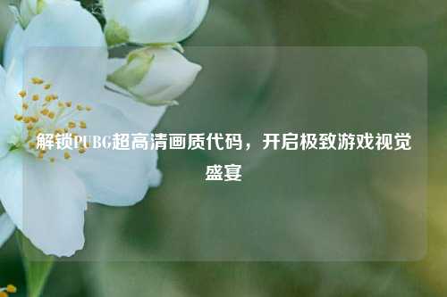 解锁PUBG超高清画质代码，开启极致游戏视觉盛宴