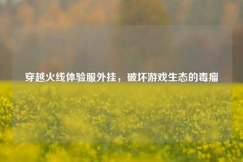 穿越火线体验服外挂，破坏游戏生态的毒瘤