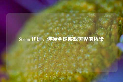 Steam 代理，连接全球游戏世界的桥梁