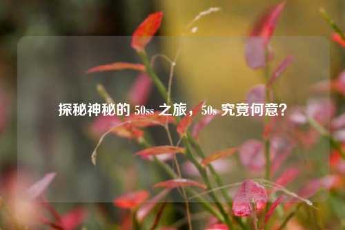 探秘神秘的 50ss 之旅,50s 究竟何意?