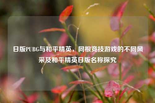 日版PUBG与和平精英，同根竞技游戏的不同风采及和平精英日版名称探究
