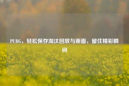 PUBG，轻松保存淘汰回放与画面，留住精彩瞬间