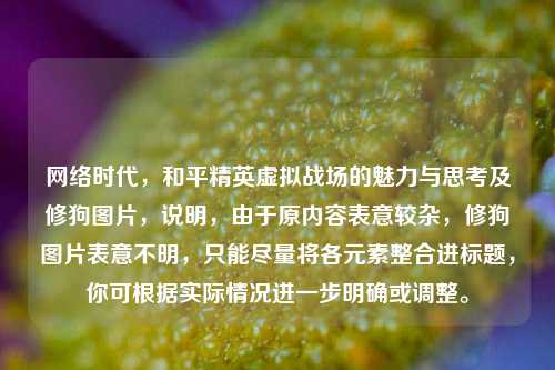 网络时代，和平精英虚拟战场的魅力与思考及修狗图片，说明，由于原内容表意较杂，修狗图片表意不明，只能尽量将各元素整合进标题，你可根据实际情况进一步明确或调整。