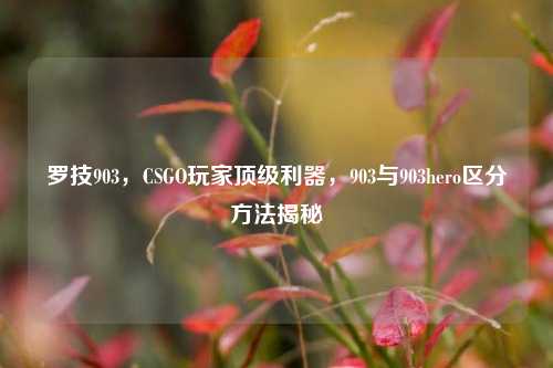 罗技903，CSGO玩家顶级利器，903与903hero区分方法揭秘