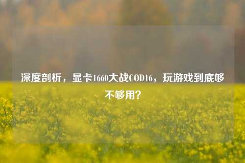 深度剖析，显卡1660大战COD16，玩游戏到底够不够用？