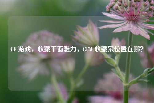 CF 游戏，收藏千面魅力，CFM 收藏家位置在哪？
