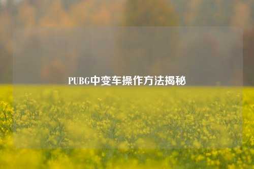 PUBG中变车操作方法揭秘