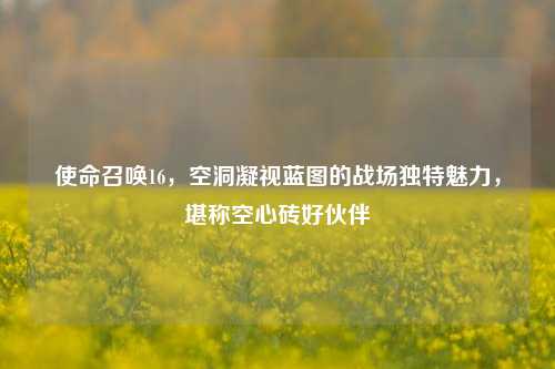 使命召唤16，空洞凝视蓝图的战场独特魅力，堪称空心砖好伙伴