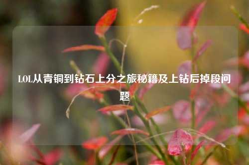 LOL从青铜到钻石上分之旅秘籍及上钻后掉段问题