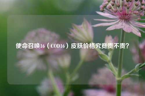 使命召唤16（COD16）皮肤价格究竟贵不贵？