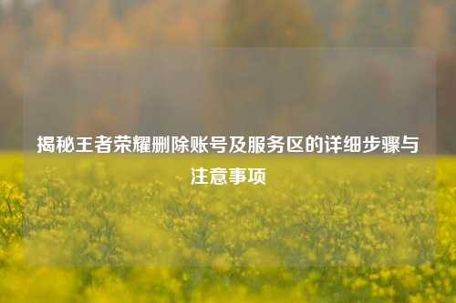 揭秘王者荣耀删除账号及服务区的详细步骤与注意事项