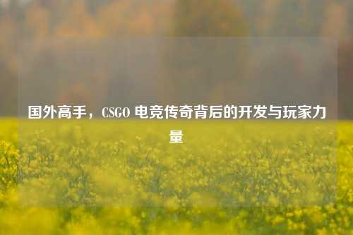 国外高手，CSGO 电竞传奇背后的开发与玩家力量