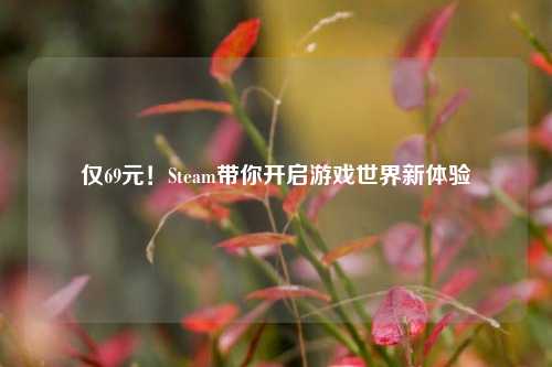 仅69元！Steam带你开启游戏世界新体验