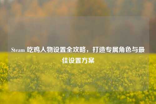 Steam 吃鸡人物设置全攻略,打造专属角色与最佳设置方案