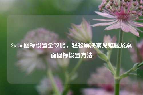 Steam图标设置全攻略，轻松解决常见难题及桌面图标设置方法