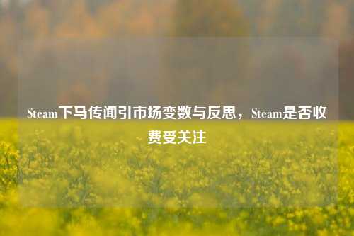 Steam下马传闻引市场变数与反思，Steam是否收费受关注