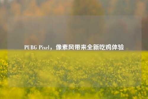PUBG Pixel,像素风带来全新吃鸡体验
