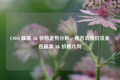 CSGO 藤蔓 AK 价格走势分析，是否会涨价及金色藤蔓 AK 价格几何