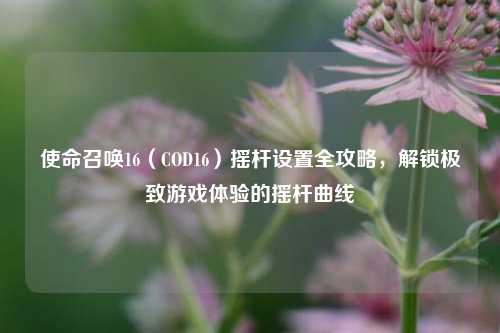使命召唤16（COD16）摇杆设置全攻略，解锁极致游戏体验的摇杆曲线
