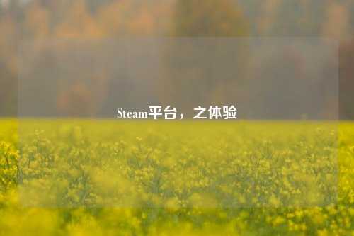 Steam平台，之体验