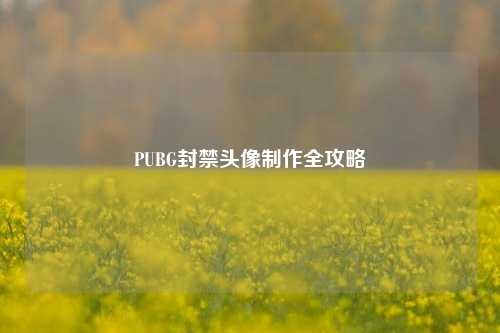 PUBG封禁头像制作全攻略