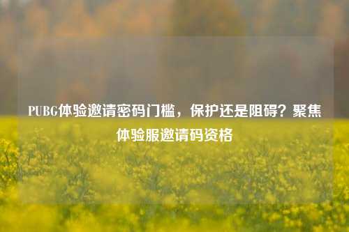 PUBG体验邀请密码门槛，保护还是阻碍？聚焦体验服邀请码资格