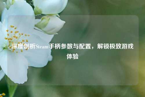 深度剖析Steam手柄参数与配置，解锁极致游戏体验