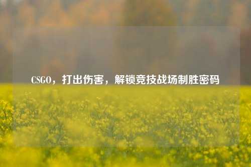 CSGO，打出伤害，解锁竞技战场制胜密码
