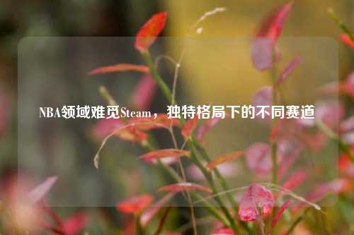 NBA领域难觅Steam，独特格局下的不同赛道