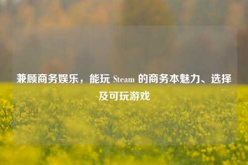 兼顾商务娱乐，能玩 Steam 的商务本魅力、选择及可玩游戏