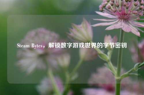 Steam Bytes，解锁数字游戏世界的字节密钥