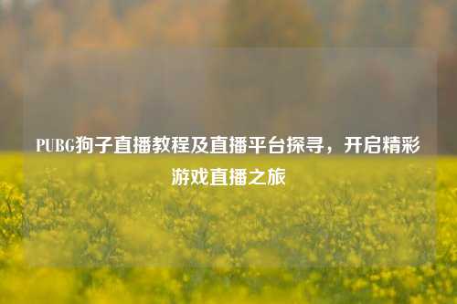 PUBG狗子直播教程及直播平台探寻,开启精彩游戏直播之旅