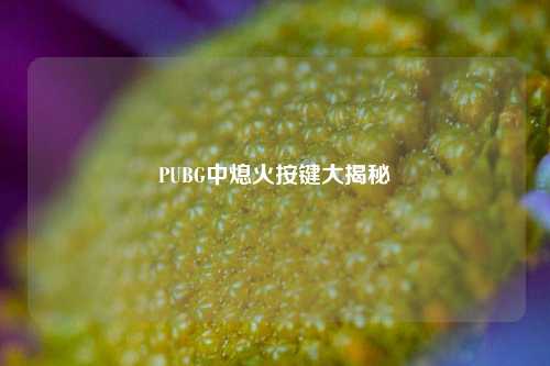 PUBG中熄火按键大揭秘