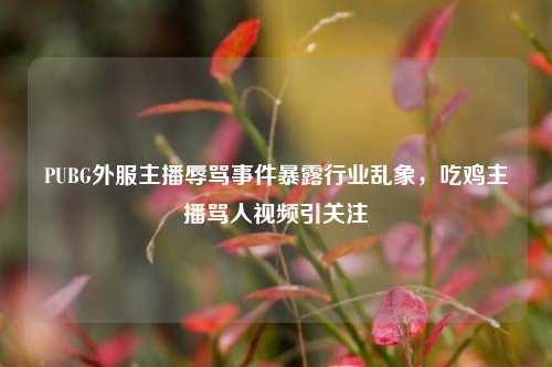 PUBG外服主播辱骂事件暴露行业乱象,吃鸡主播骂人视频引关注