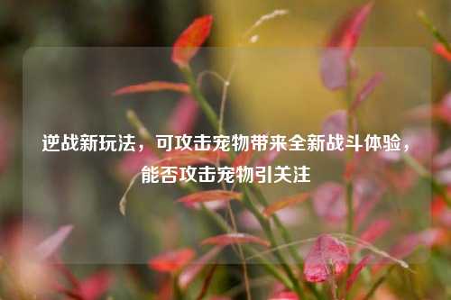 逆战新玩法，可攻击宠物带来全新战斗体验，能否攻击宠物引关注