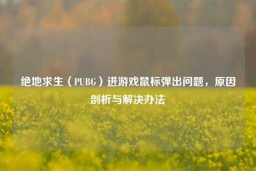 绝地求生(PUBG)进游戏鼠标弹出问题,原因剖析与解决办法