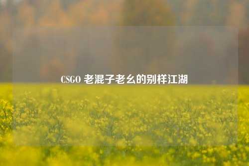 CSGO 老混子老幺的别样江湖
