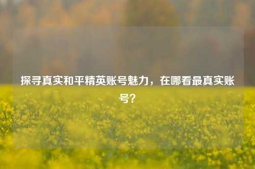 探寻真实和平精英账号魅力,在哪看最真实账号?