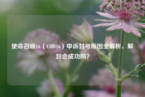 使命召唤16（COD16）申诉封号原因全解析，解封会成功吗？