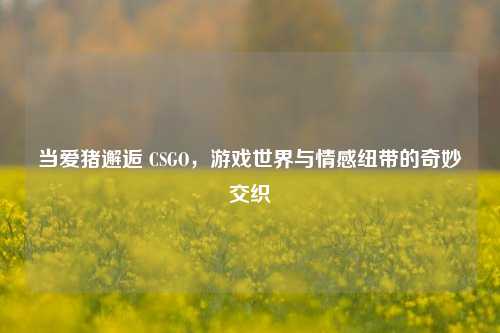 当爱猪邂逅 CSGO，游戏世界与情感纽带的奇妙交织