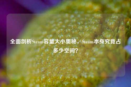 全面剖析Steam容量大小奥秘，Steam本身究竟占多少空间？